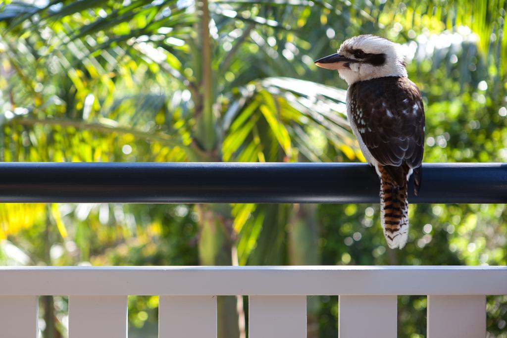 ホテル カバンバビーチ ハウス バイロンベイ エクステリア 写真